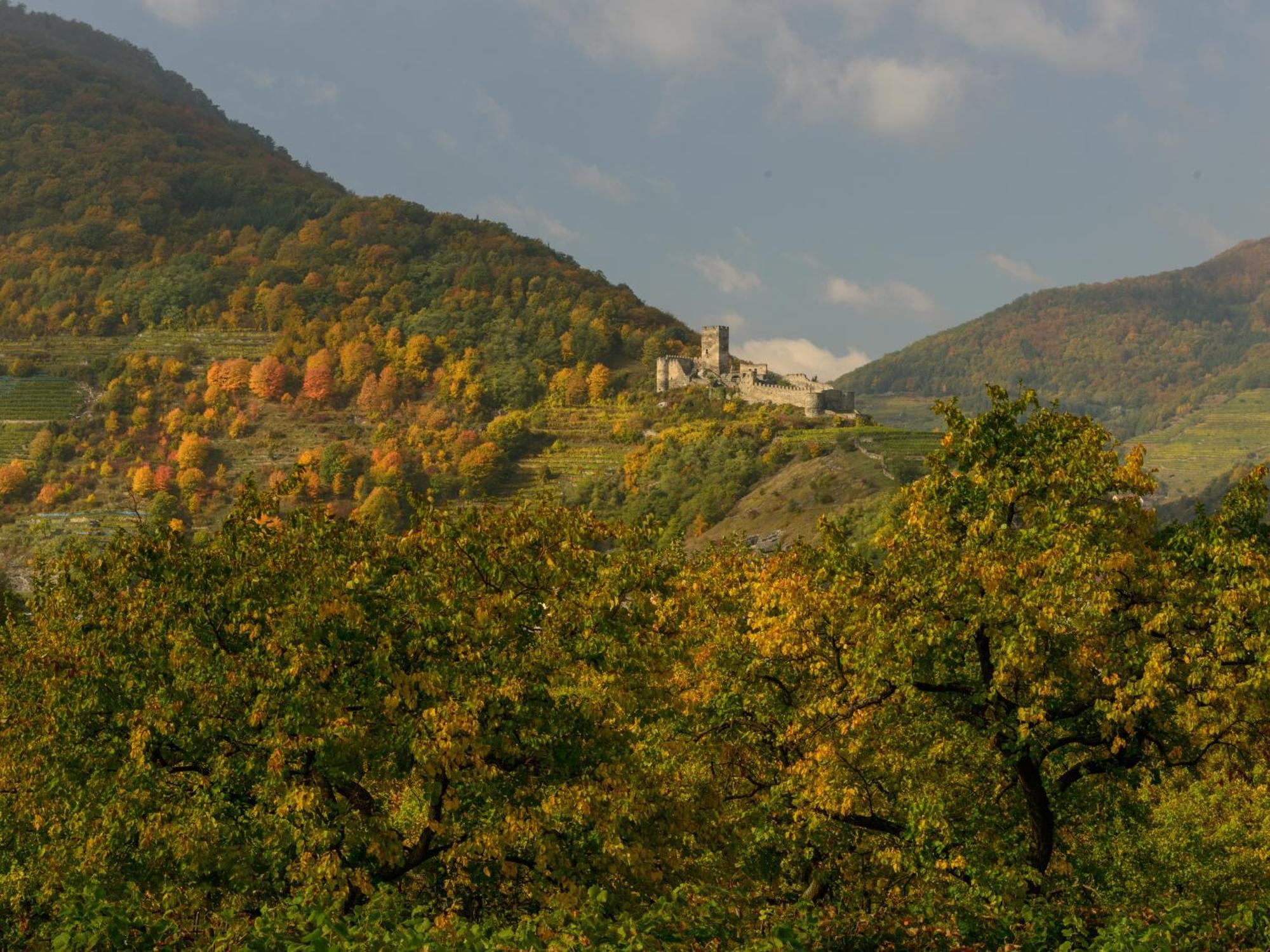 Ferienwohnung Weinbergblick Rohrendorf bei Krems 외부 사진